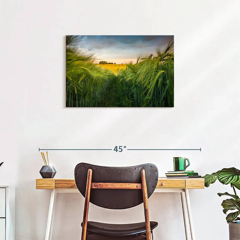 Harnek Green Wheat Field