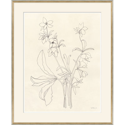 Helebore Study " Helebore Study I " by Susan Hable