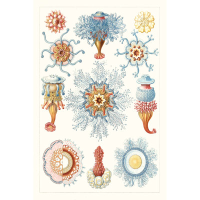 Sealife Species II - Painting on Canvas