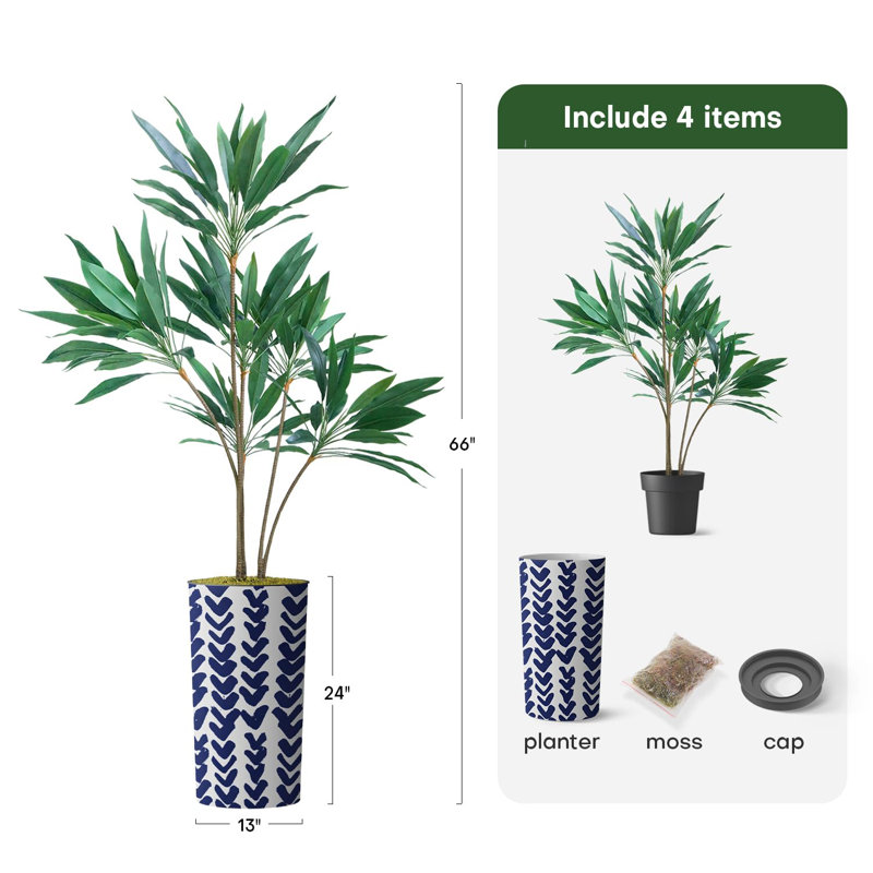 66 plantes, Tique bleue