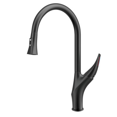 Kitchen Faucet