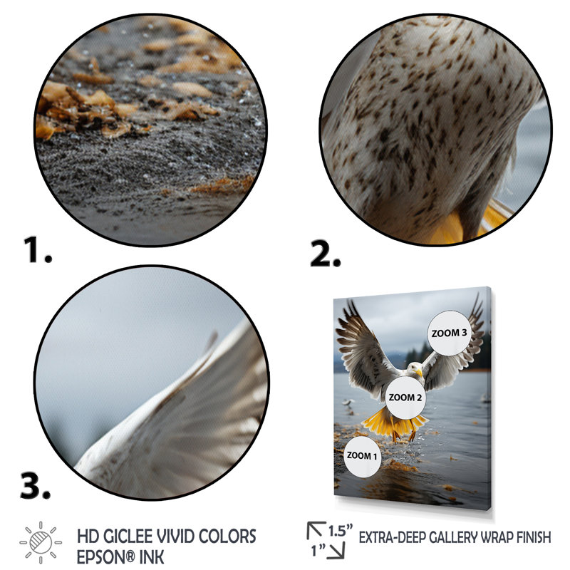 Coastal Seagull Soaring - Nautical & Beach Wall Art Living Room, H 40 po x l 30 po x P 1,5 po, Cadre flottant blanc