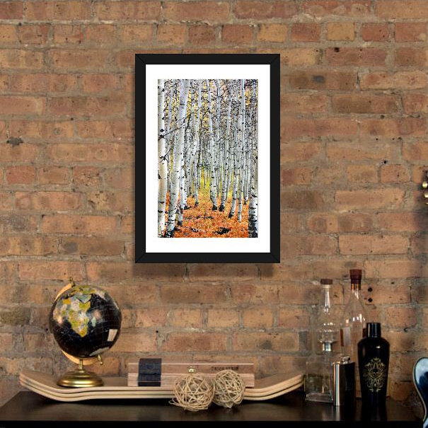 « Autumn in Aspen », reproduction de photo, H 24 po x l 16 po x P 1 po, Papier encadré noir