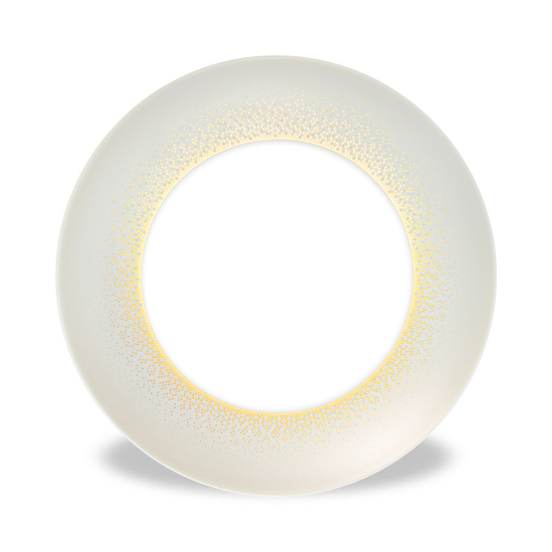 Large Dinner Plates