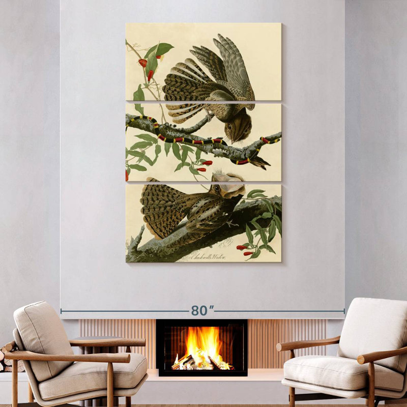 Brampt Chuck-Will's Widow, 74" H x 48" W