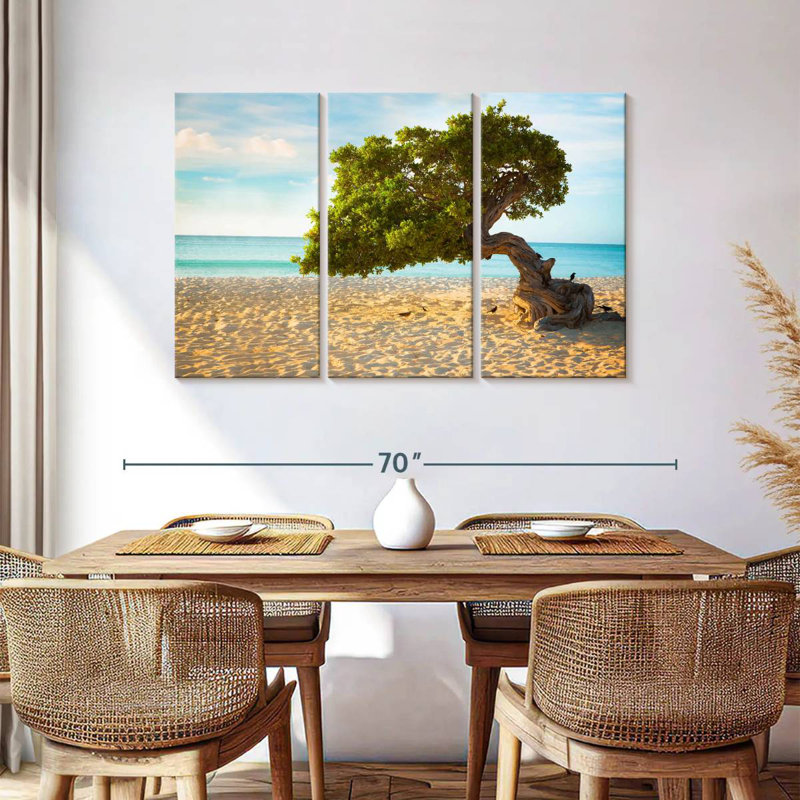 Arbre Gillard Divi-Divi à Aruba, H 36 po x l 57 po
