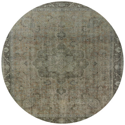Oriental Indoor Rug