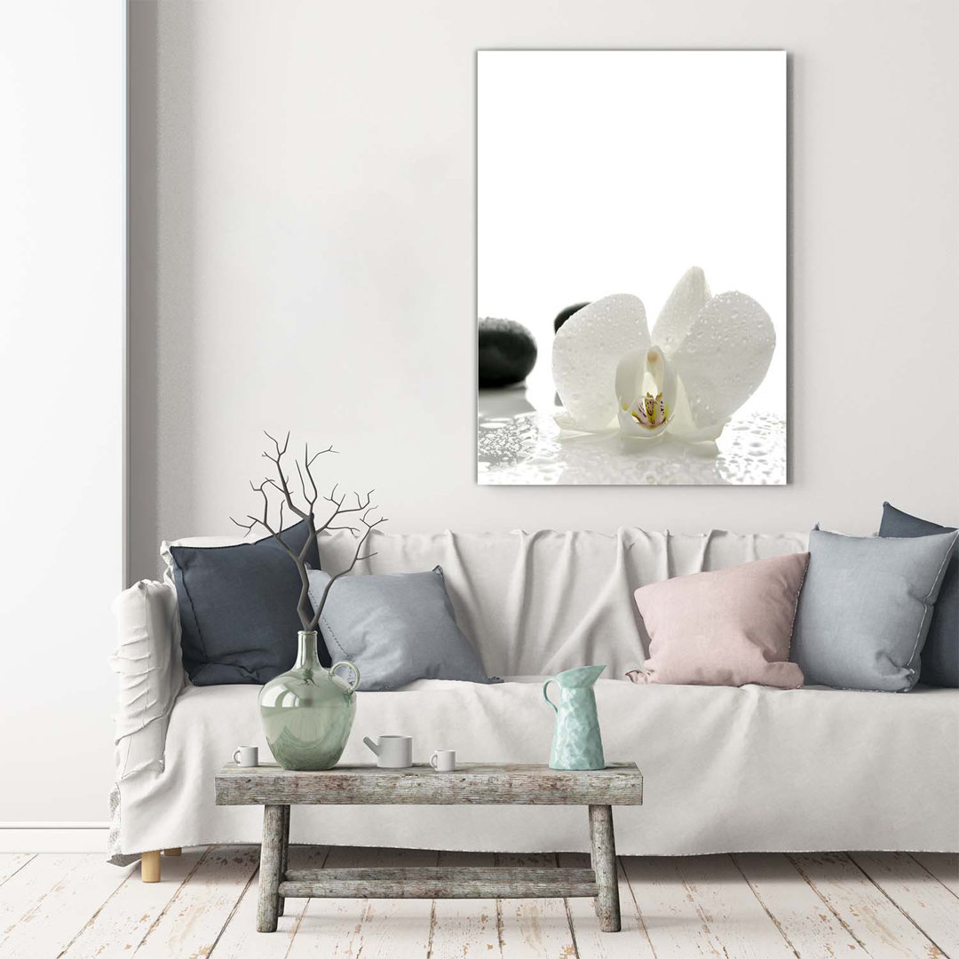 Orchid and Stones - Wrapped Canvas Art Prints