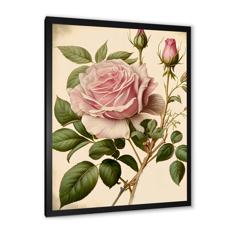 «Pink Rose on Retro Parchment IV», reproduction sur toile, Cadre photo noir, H 20 po x l 12 po x P 1 po
