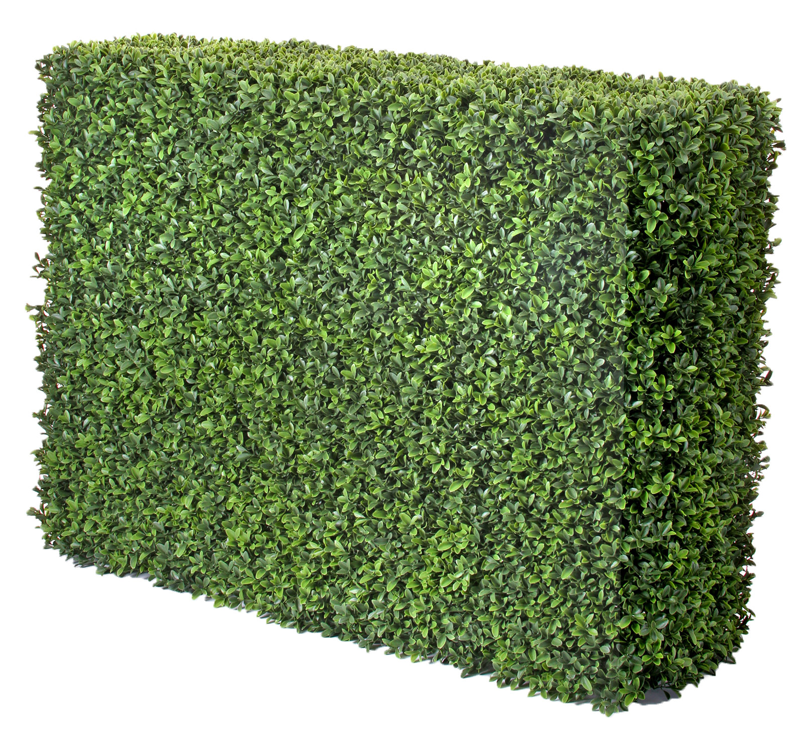 Boxwood Hedge with Base Included, 29" H x 40" W x 12" D