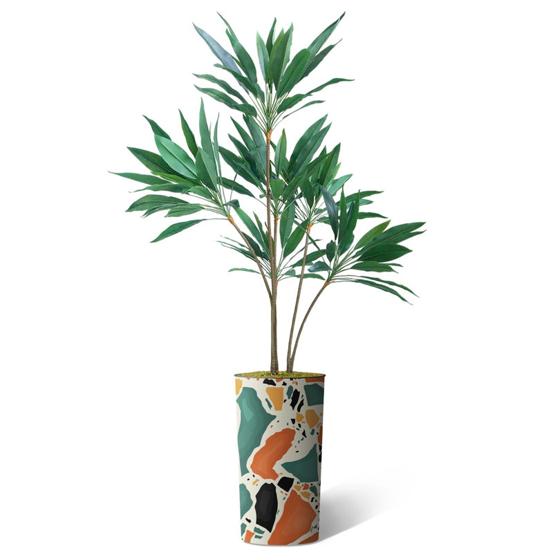 66 plantes, Bloc de couleur orange