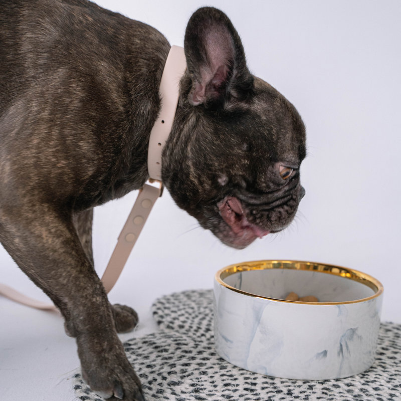 Dexypaws: bol pour chien en marbre: rosé et or - 6,3 po de diamètre, plat élégant et fonctionnel pour animaux de compagnie, nourriture et eau, sécuritaire et non toxique, durable