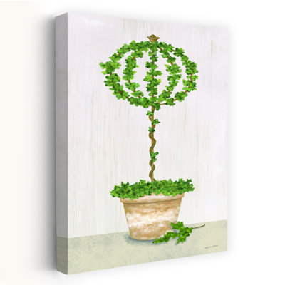 Boxwood Trained Topiary Art