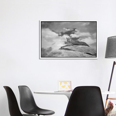 Leopard On A Kopje by Mario Moreno - Print on Canvas