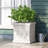 PLANTER