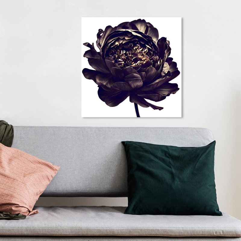 Pivoine noire - Impression sur toile, Toile tendue, H 12 po x l 12 po