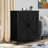Farnborough Accent Cabinet-1102368873