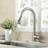 AlenArtWater Pull Down Kitchen Faucet