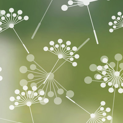 Dandelion Plants & Flowers Non-Wall Damaging Window Decal