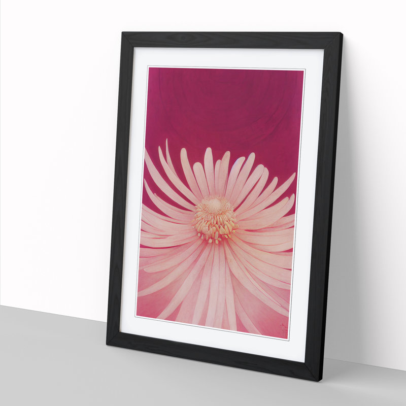Chrysanthemum Flower - Single Picture Frame Print, Black Framed, 46cm H x 34cm W