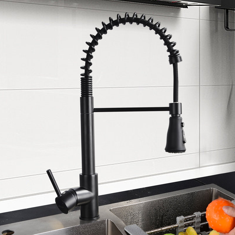 SHAMANDA Pull Down Kitchen Faucet