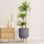 Concrete Effect Cylinder Round Planter on Hardwood Legs, Round Indoor Plant Pot Stand for Indoor Plants, Indoor Flower Pot with Honeycomb Pattern-89142829-89142827