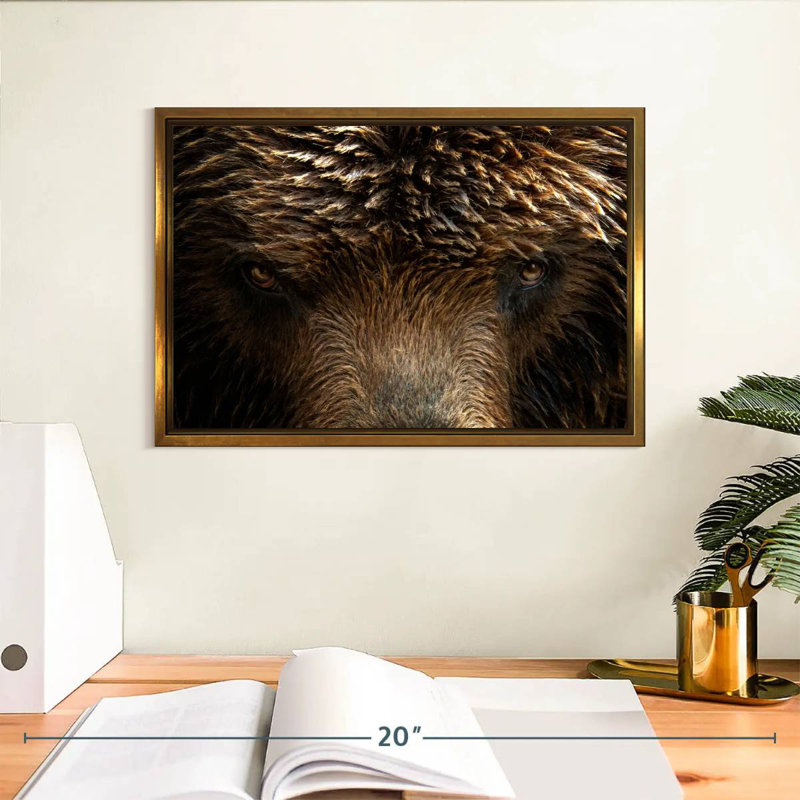 Yeux de grizzly, Cadre flottant doré, 13 po x 9 po