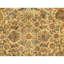 Hand Knotted Wool Area Rug in Gold