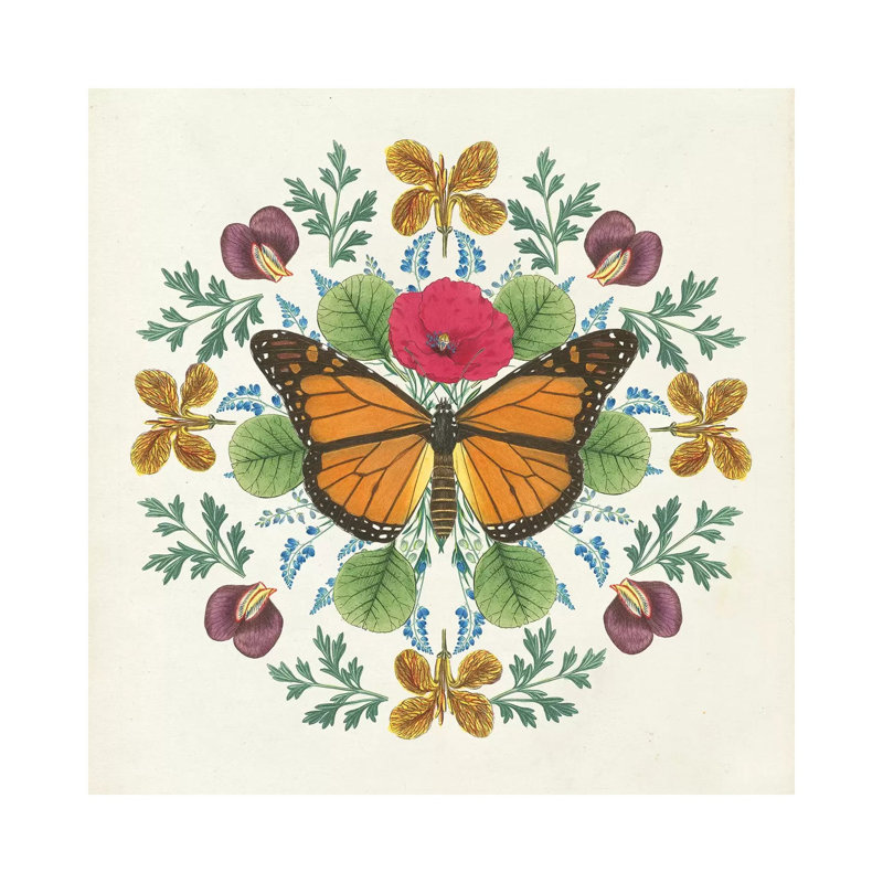 Butterfly Mandala by Wild Apple Portfolio - Wrapped Canvas Gallery-Wrapped Canvas Giclée, 45.72cm H x 45.72cm W