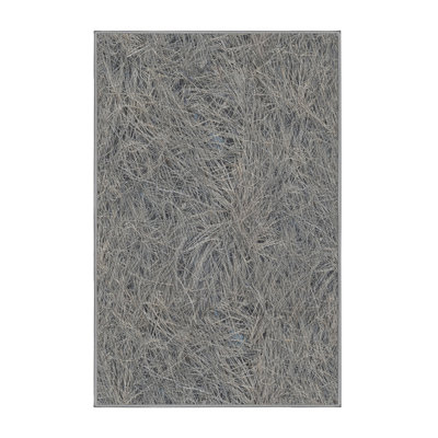 Indoor Rug