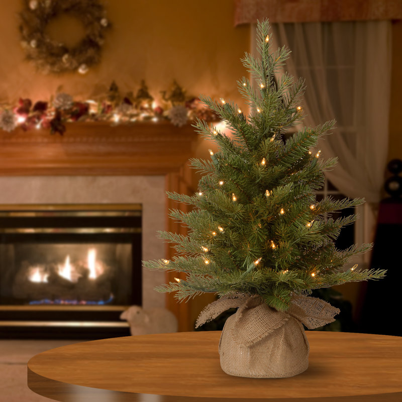 The Holiday Aisle® Nordic Spruce Tree with Clear Lights, 2'