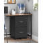 43cm Wide 2 -Drawer Mobile File Cabinet-378901498