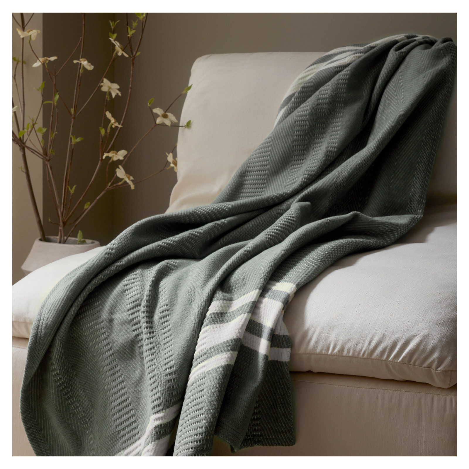 Cirrus Cotton Hand Woven Throw Blanket, Cypress