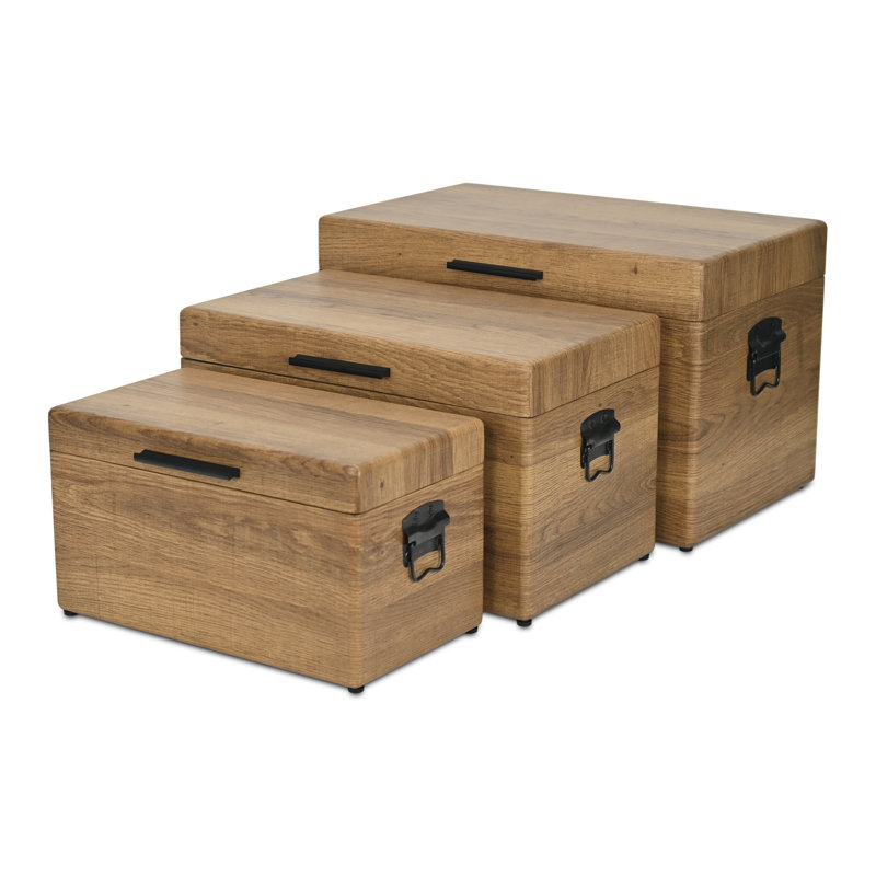 Sable Set of 3 Trunks with Gold Handles, Brown