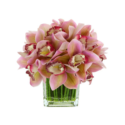 Orchidée Lehn dans un vase en verre