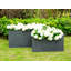 Octavla Pot Planter-579851715