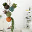 Décoration murale 4 pièces en céramique-215886156