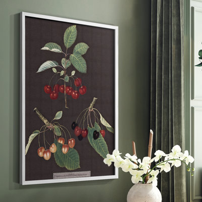 Brookshaw Cherries Framed Print - Solid Wood