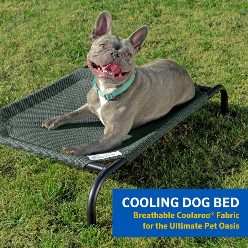 Lit pour chien The Original Cooling, H 8 po x l 25,5 po x P 42 po, Bleu