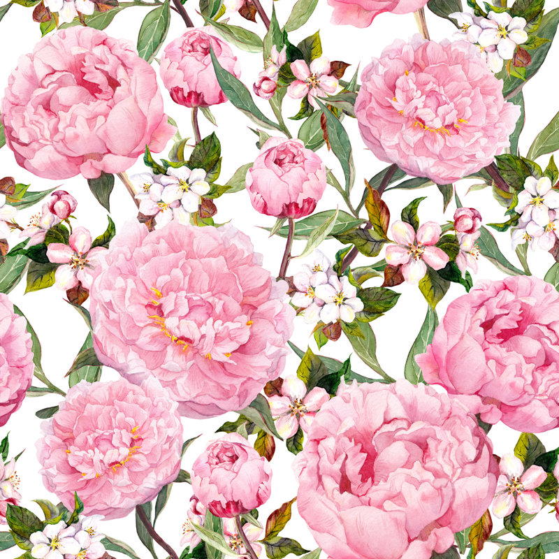 «Bowenville Peony Flowers», impression sur toile tendue, H 12 po x l 12 po