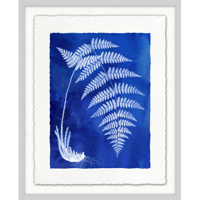 Fern Inspiration Indigo 8 par Lillian August - peinture encadrée sur papier