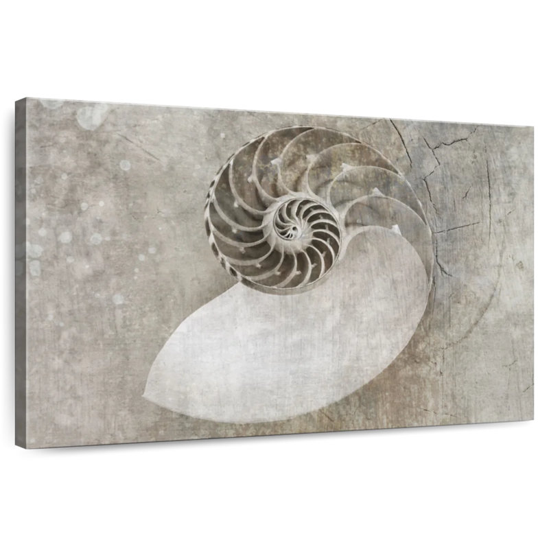 Coquillage en spirale Aletra, H 30 po x l 45 po