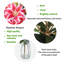 Tigre artificiel Elegant Real Touch