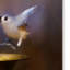 «Afprès Playtime», impression sur toile tendue Vidur-22068293