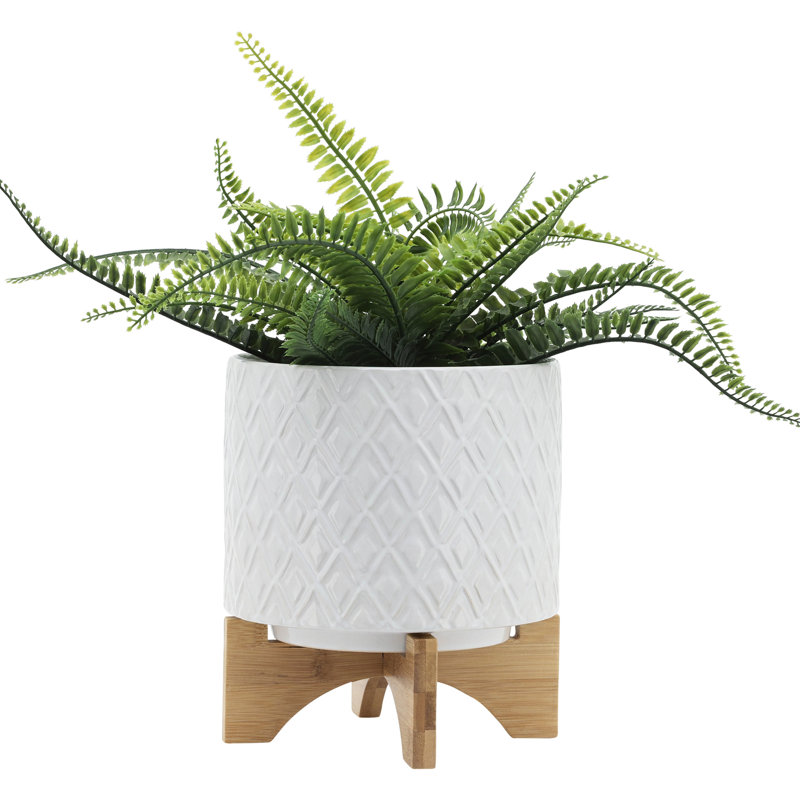 Pot à fleurs en céramique de 8 po avec support de couleur blanche - qualité pour terrariums, décoration de salon, piscine, jardin, espace