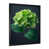 Black Single Picture Framed