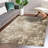 Abstract Indoor Rug-1465004044