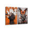 2 Piece Wrapped Canvas Set
