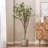 180CM ARTIFICIAL MILAN LEAF BONSAI-678361605
