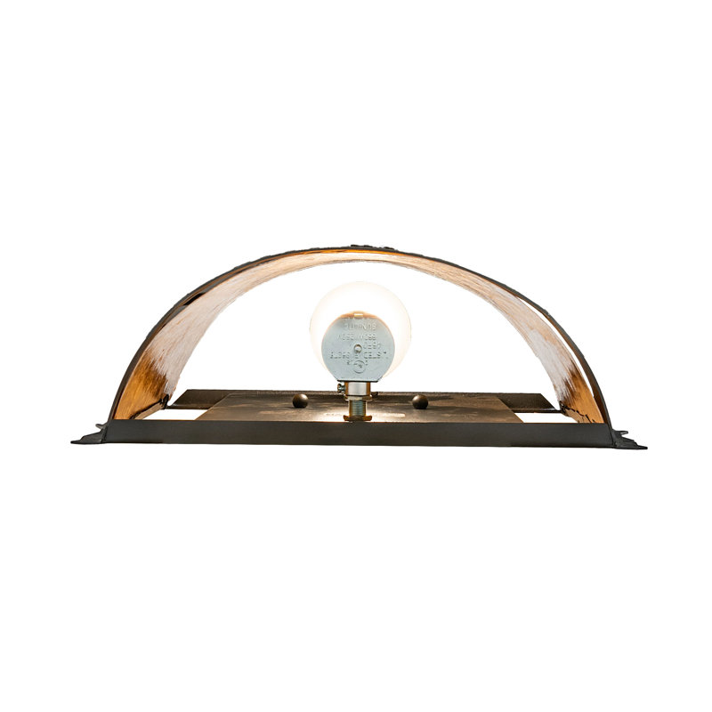 1 - Light Flush Mounted Sconce